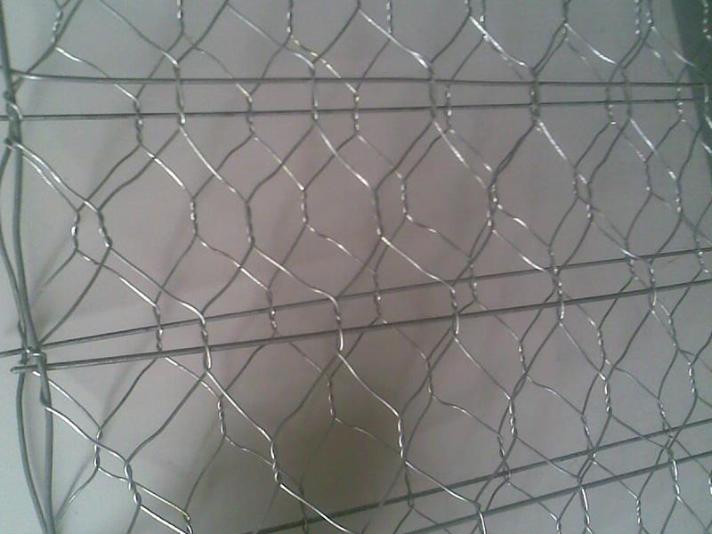 �ꖼӽ���e�W