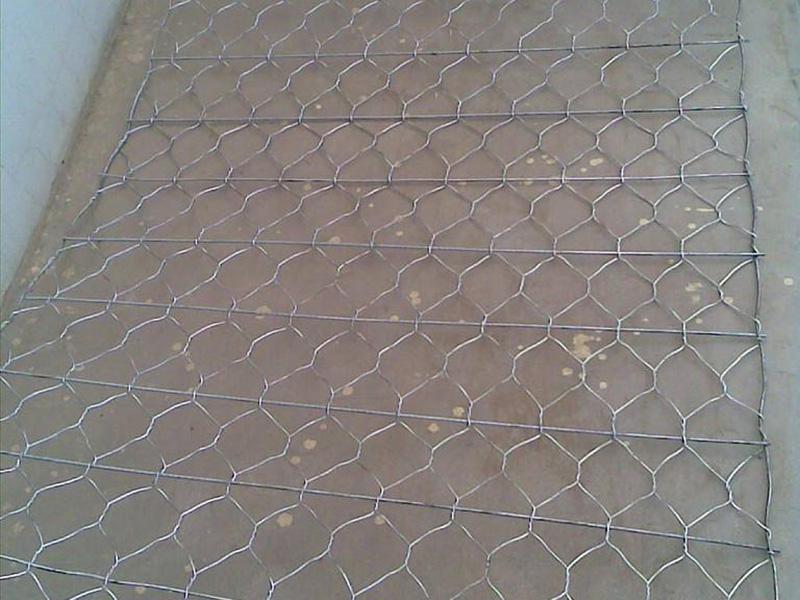 �ꖼӽ���e�W