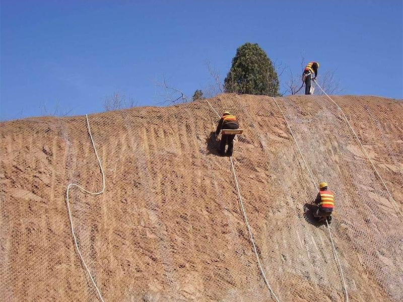 ��ˮ��ʯ���o(h��)�W(w��ng)