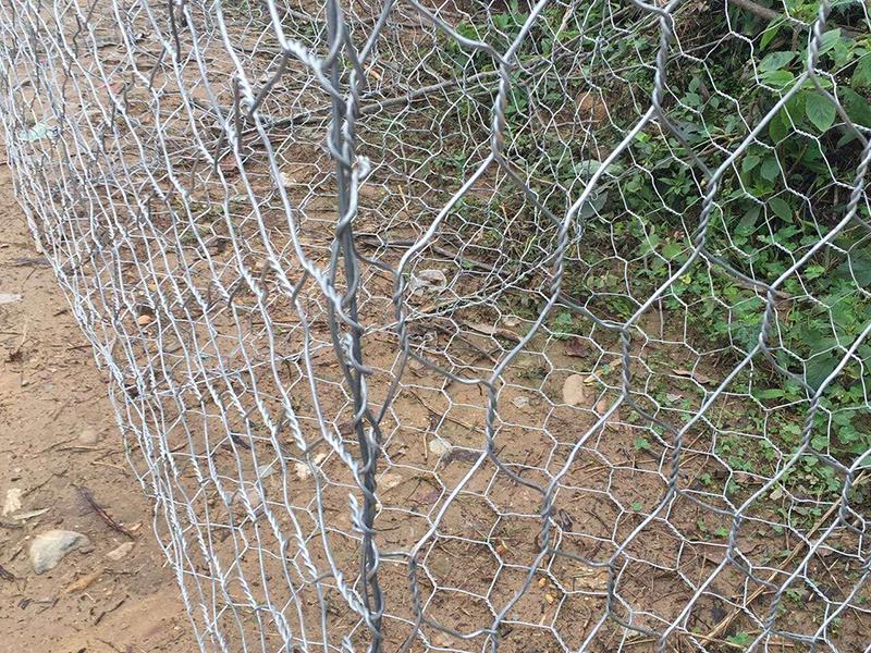 �˴���Ѵ�U�z�\