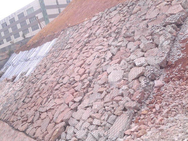 ���d���X�G��W�|