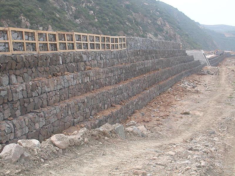 ������Z�o�|