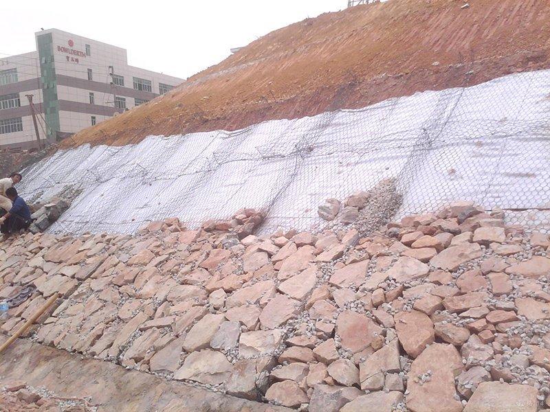 �t�Ӹ��e�Wʯ�\