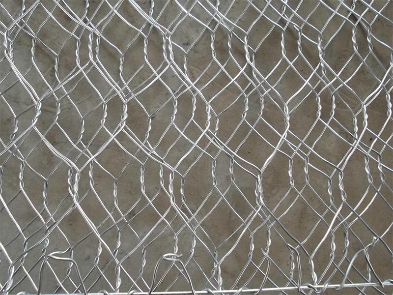 ������\���e�W(w��ng)