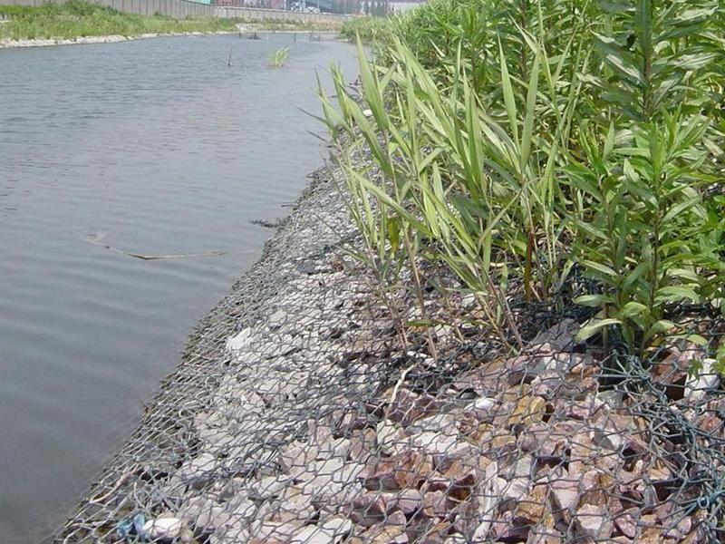 �����o�����e�W(w��ng)