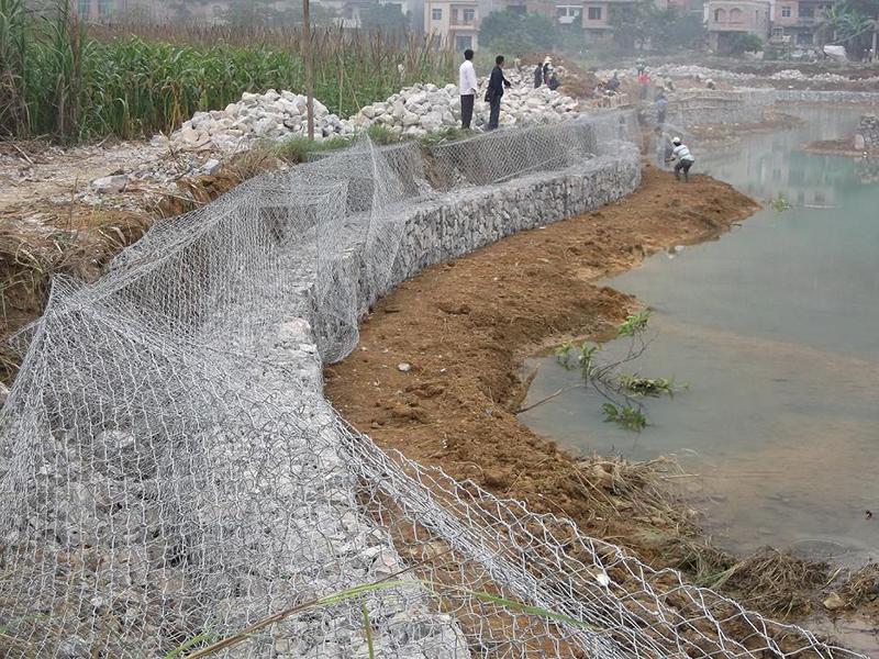 �����o�����e�W(w��ng)