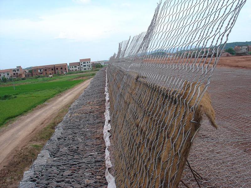 ��ؕ�o(h��)���U�z�\