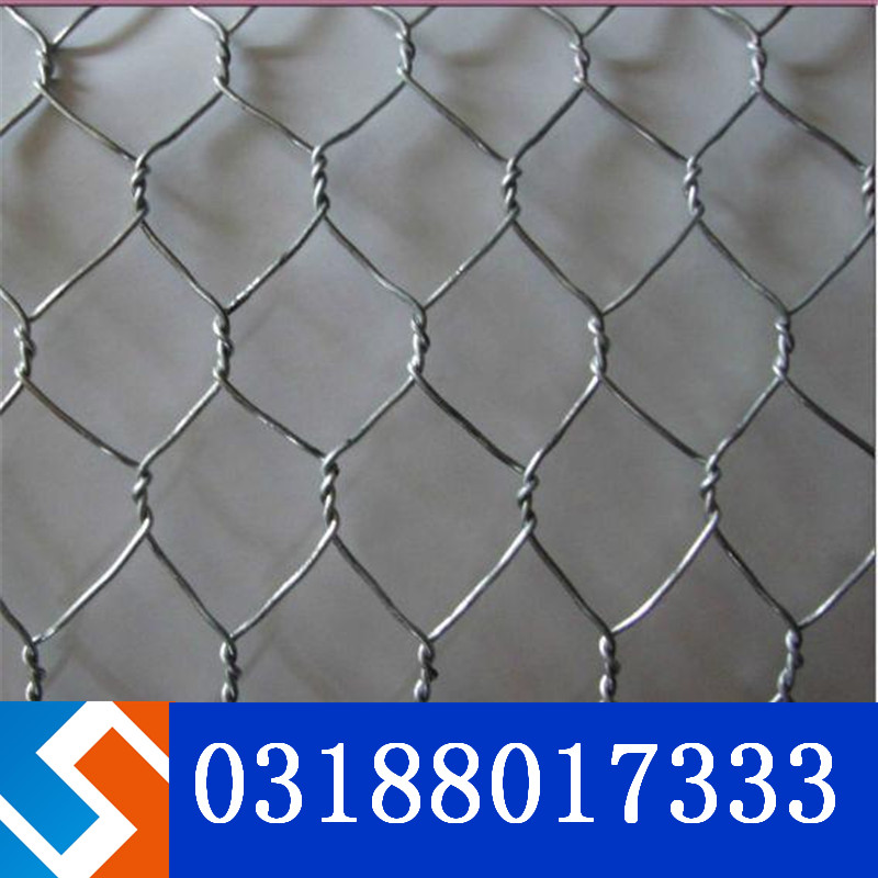 ���e�W�����Ì��������^����Ƭ���B�ӵ���������