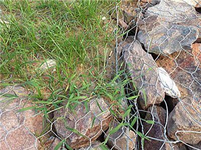 楊梅水庫(kù)應(yīng)用晟特廠家鉛絲石籠